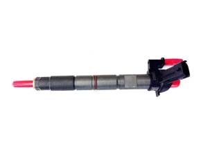 Exergy New 150% Over Scorpion Injector Set